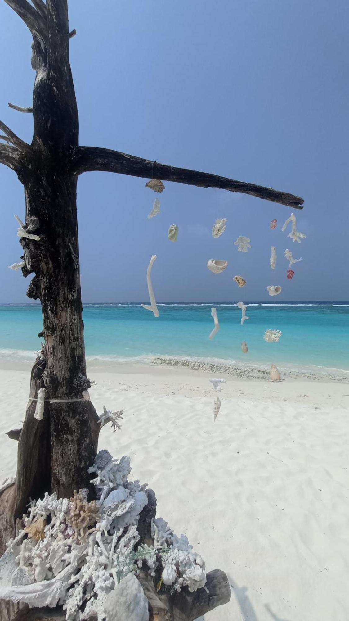 Ahiva Village Fulhadhoo Luaran gambar